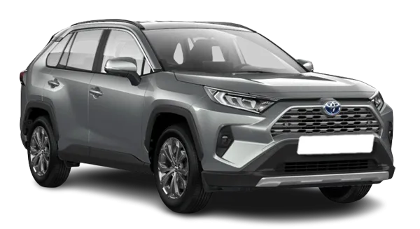 Toyota Rav4 gris