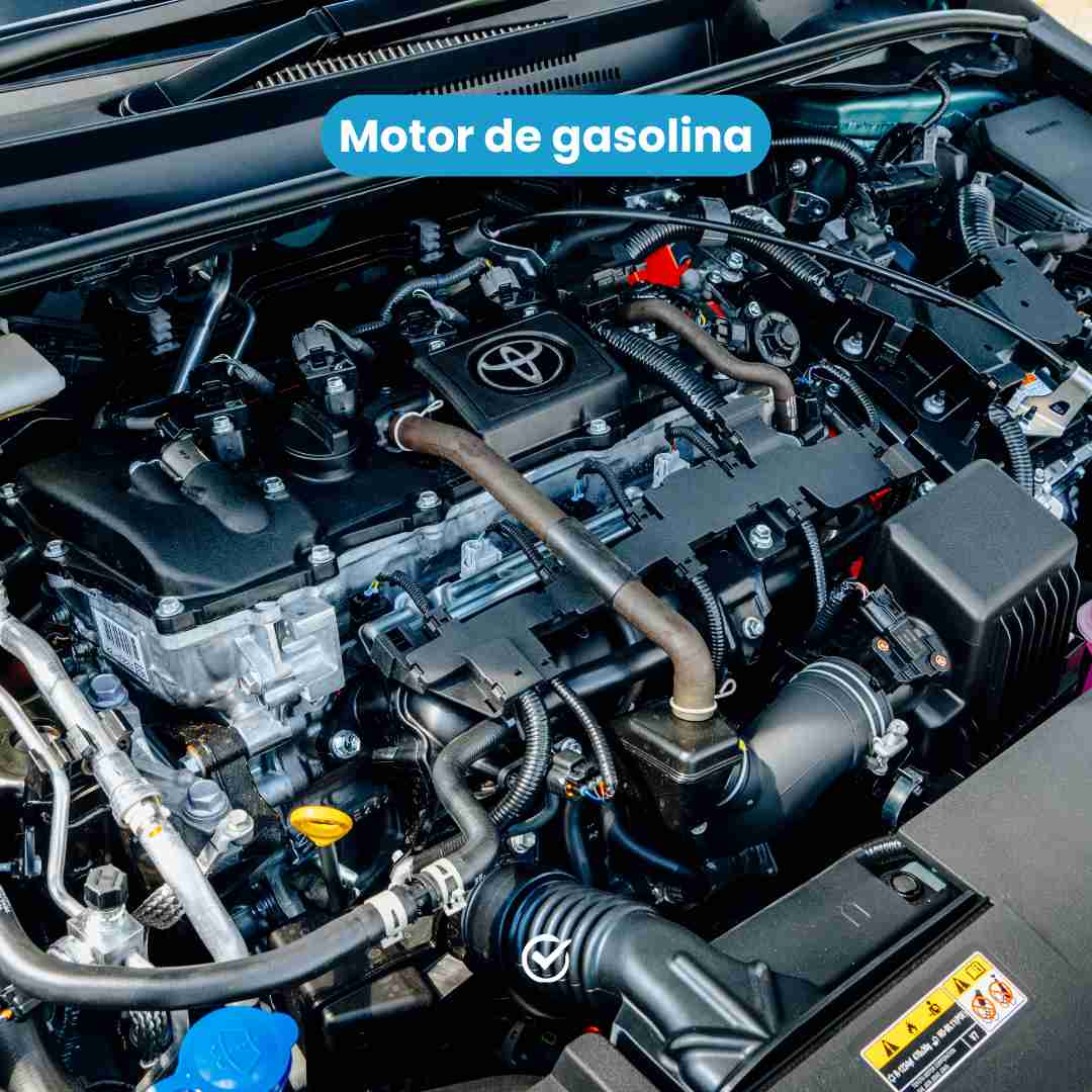 Motor de gasolina