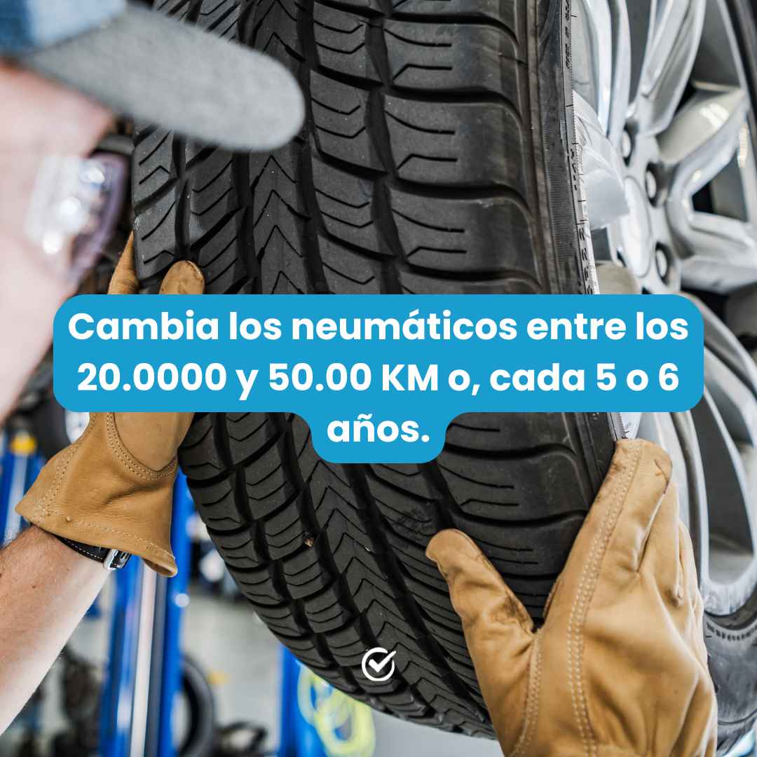 Cada cuanto se cambian los neumaticos